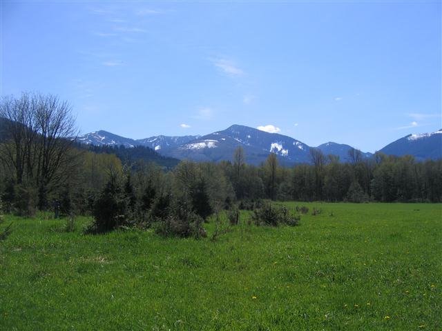 Hurn Field View Across.JPG Hurn Field View Across.JPG